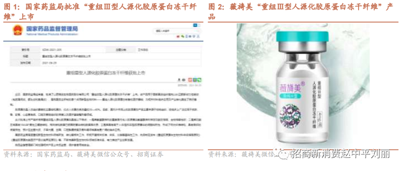绿植养护案例分析——木植蓝黛的创新模式
